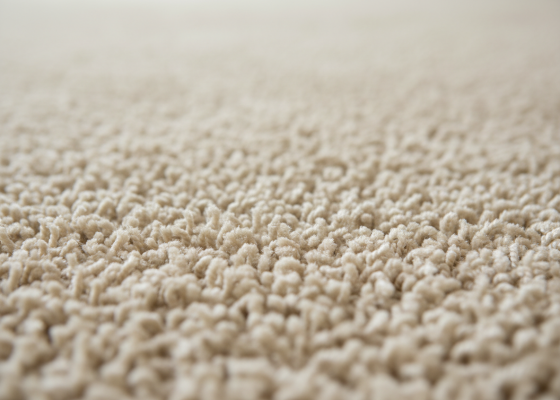 service-carpet-cleaning